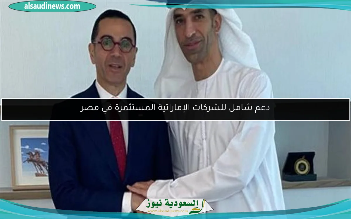 دعم شامل للشركات الإماراتية المستثمرة في مصر