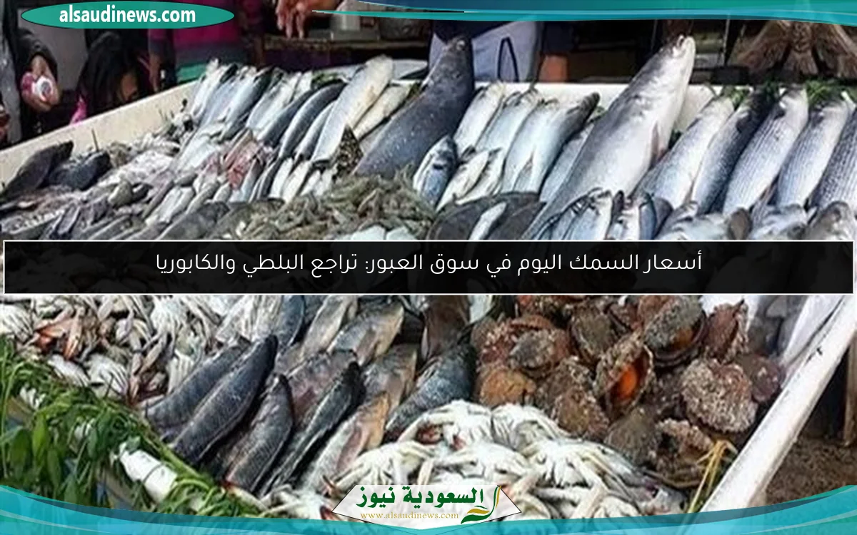 أسعار السمك اليوم في سوق العبور: تراجع البلطي والكابوريا