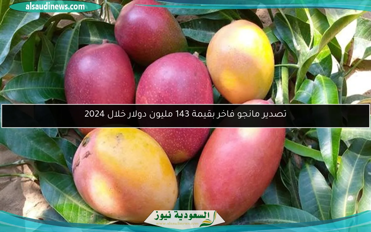 تصدير مانجو فاخر بقيمة 143 مليون دولار خلال 2024