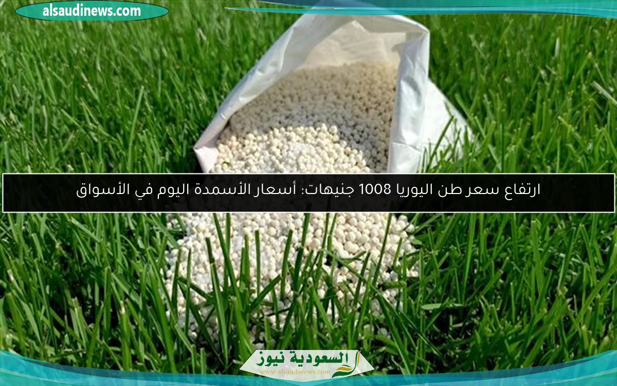خبير اقتصادي يكشف عن أسرار المراجعة الخامسة لصندوق النقد وتأثيرها على الأسعار