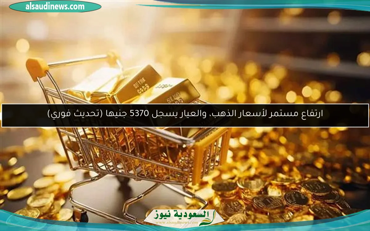 ارتفاع مستمر لأسعار الذهب، والعيار يسجل 5370 جنيها (تحديث فوري)
