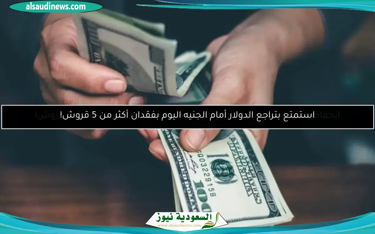 انخفاض مثير لسعر الدولار أمام الجنيه بمنتصف اليوم، خسارة تفوق 5 قروش!