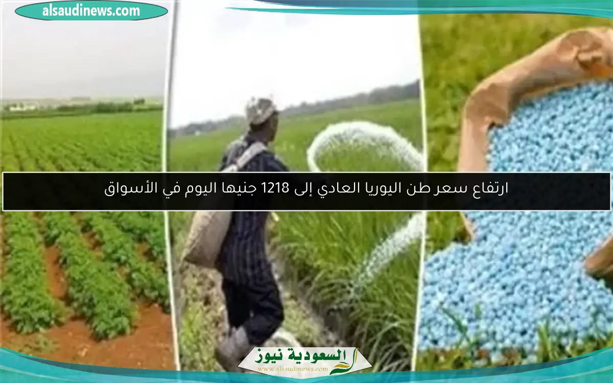 اتحاد شركات التأمين ينظم الماراثون السنوي السادس في 30 مايو