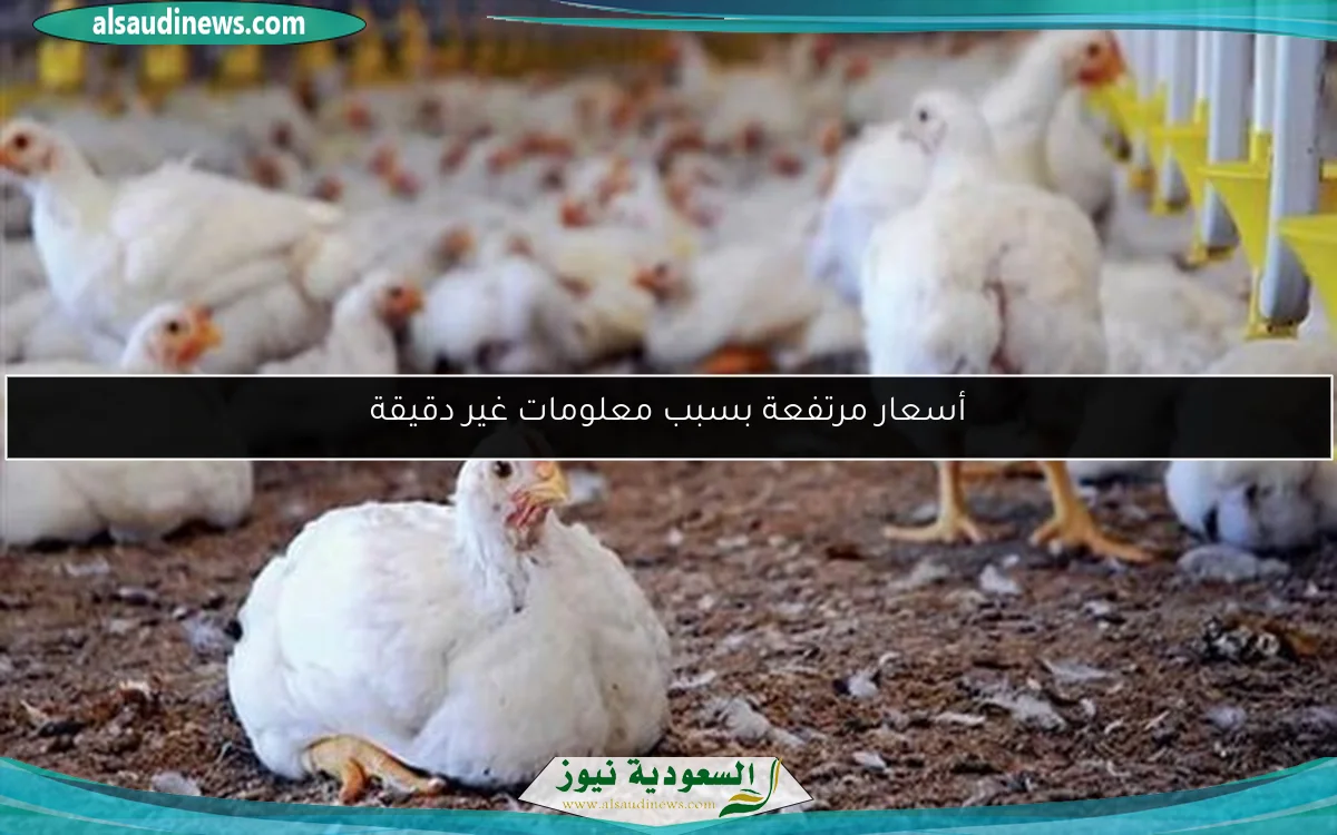 أسعار الأثاث في معرض صنع في دمياط بمدينة نصر بالفيديو