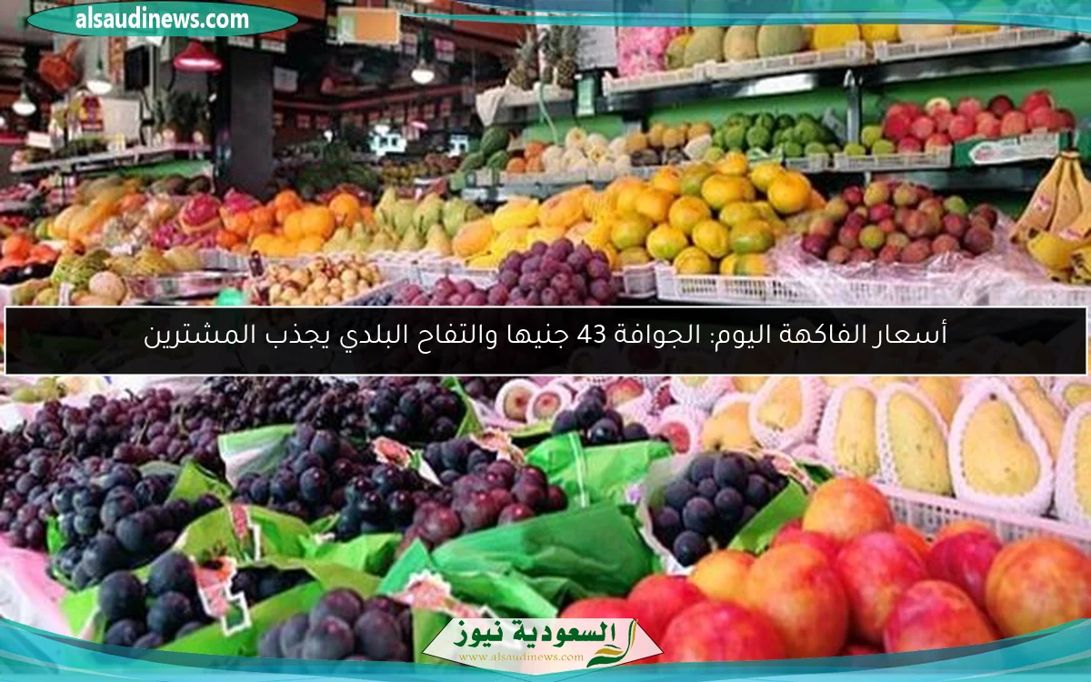 أسعار الفاكهة اليوم: الجوافة 43 جنيها والتفاح البلدي يجذب المشترين