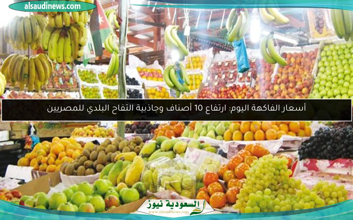 أسعار الفاكهة اليوم: ارتفاع 10 أصناف وجاذبية التفاح البلدي للمصريين