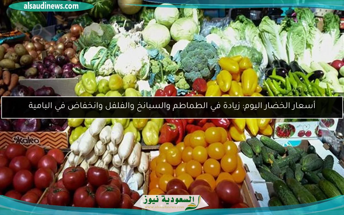 أسعار الخضار اليوم: زيادة في الطماطم والسبانخ والفلفل وانخفاض في البامية