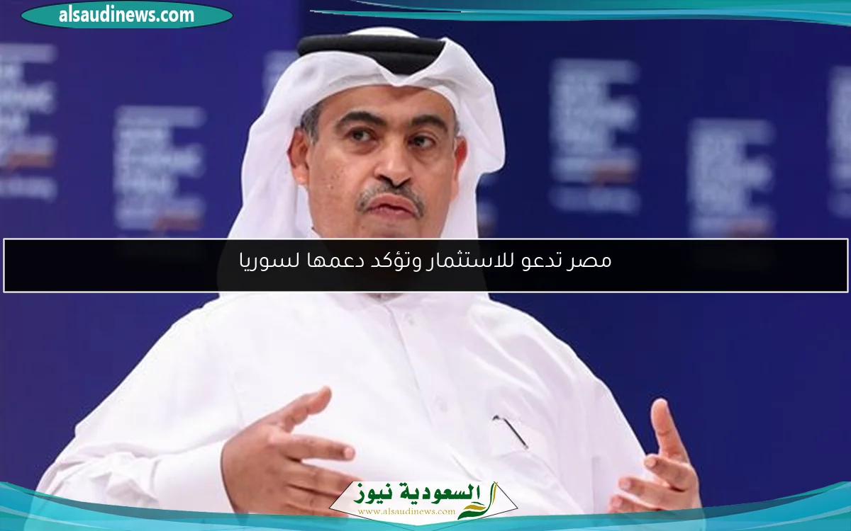 مصر تدعو للاستثمار وتؤكد دعمها لسوريا