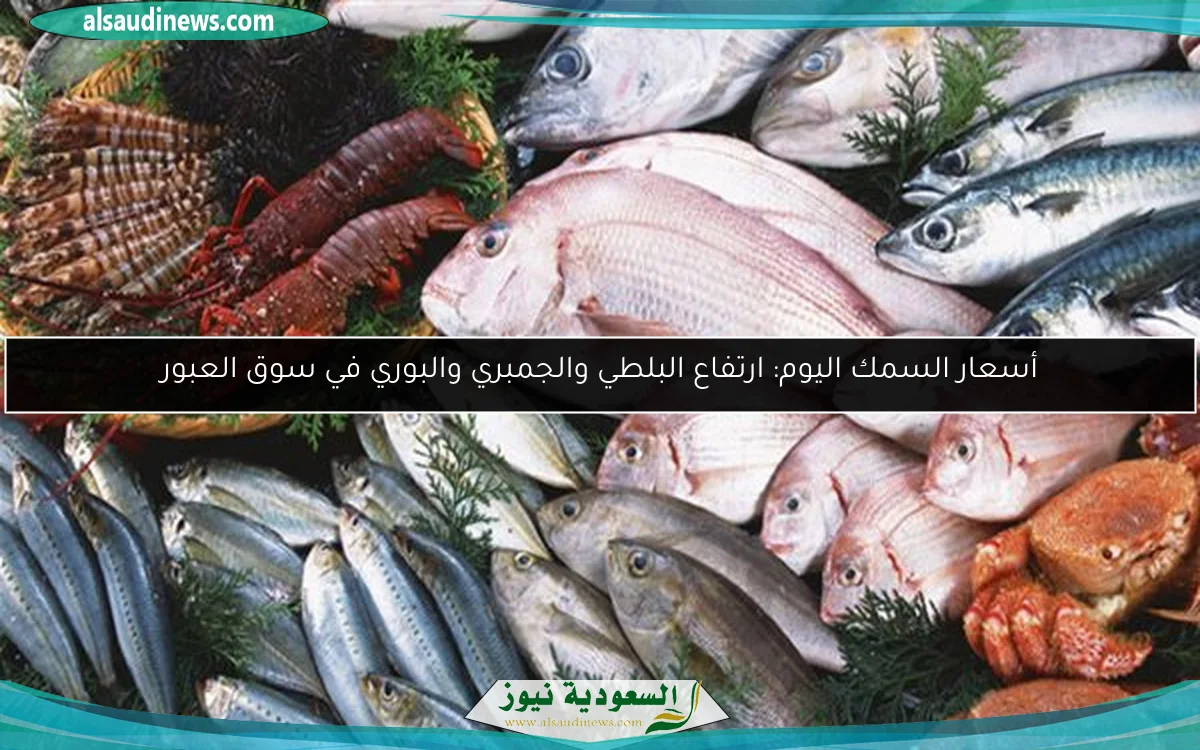أسعار السمك اليوم: ارتفاع البلطي والجمبري والبوري في سوق العبور