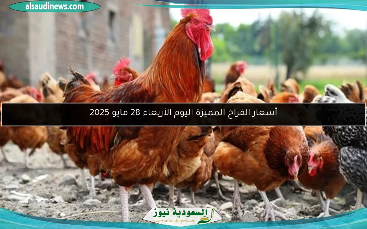 وزير الاستثمار يقود وفد مصر في الاجتماعات المصرية الروسية الخامسة عشرة