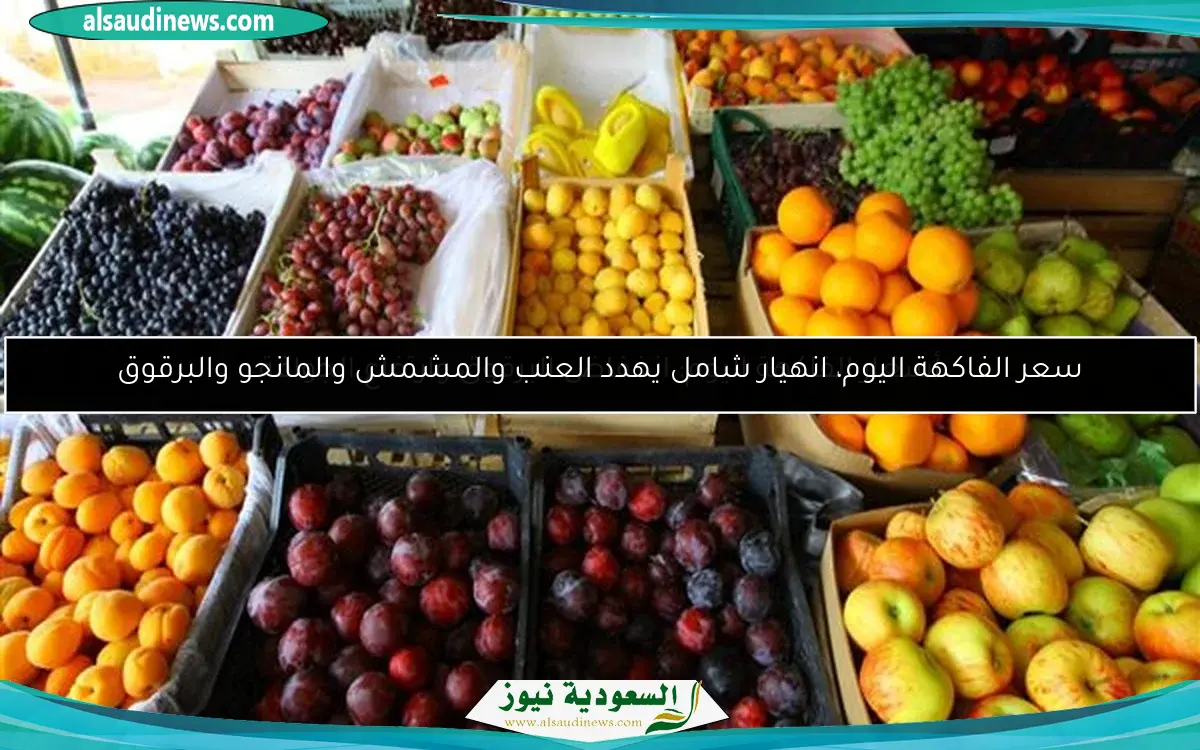 سعر الفاكهة اليوم، انهيار شامل يهدد العنب والمشمش والمانجو والبرقوق