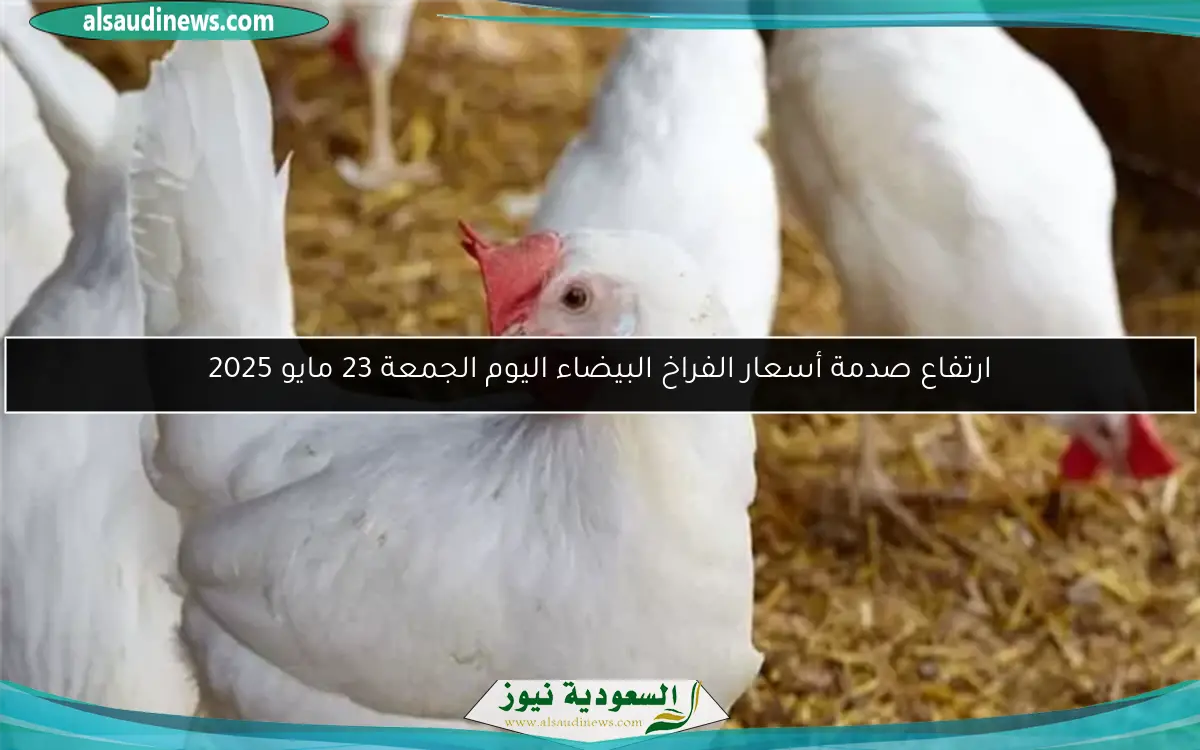 ارتفاع صدمة أسعار الفراخ البيضاء اليوم الجمعة 23 مايو 2025