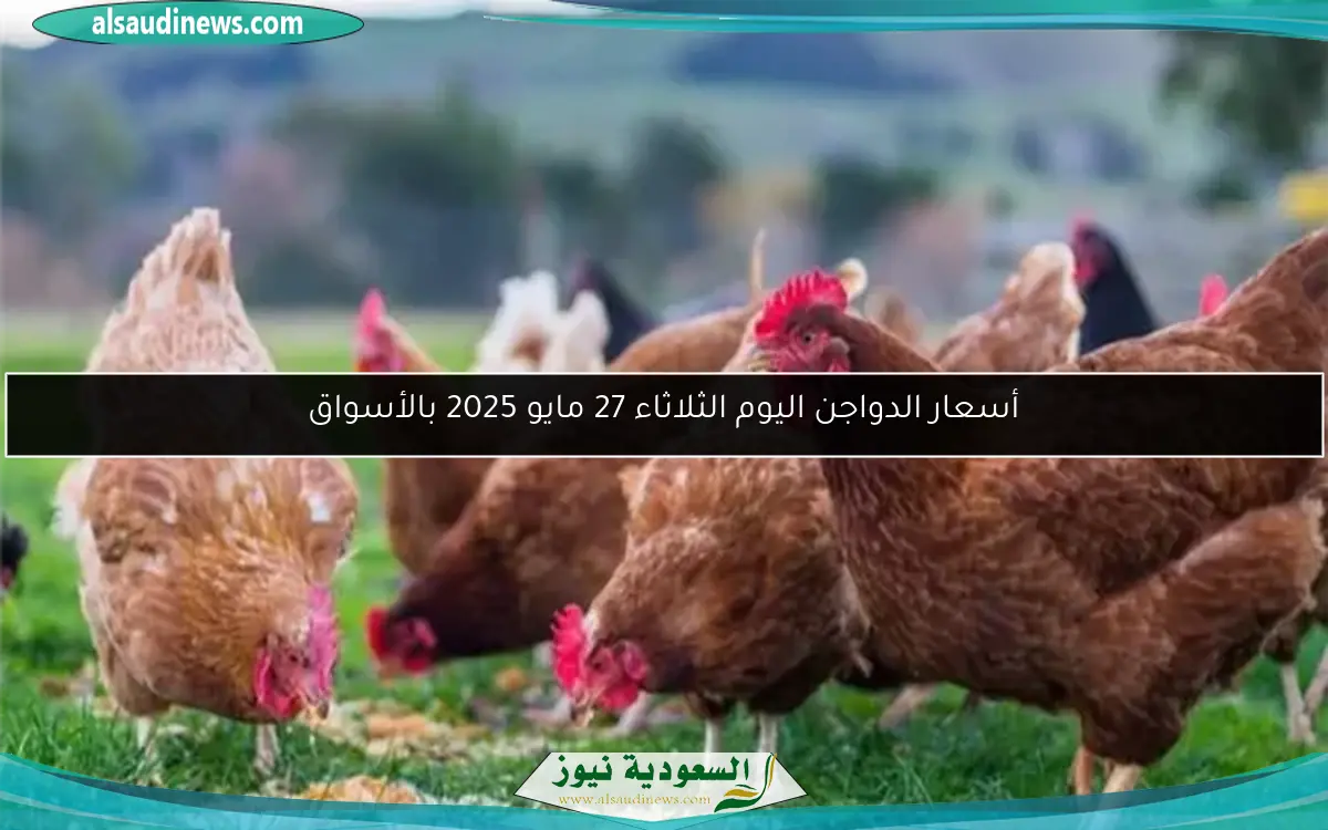 أسعار الدواجن اليوم الثلاثاء 27 مايو 2025 بالأسواق