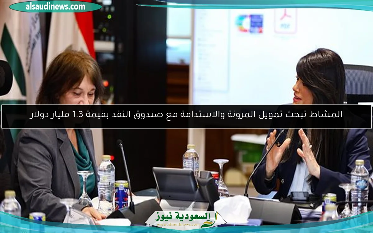 المشاط تبحث تمويل المرونة والاستدامة مع صندوق النقد بقيمة 1.3 مليار دولار