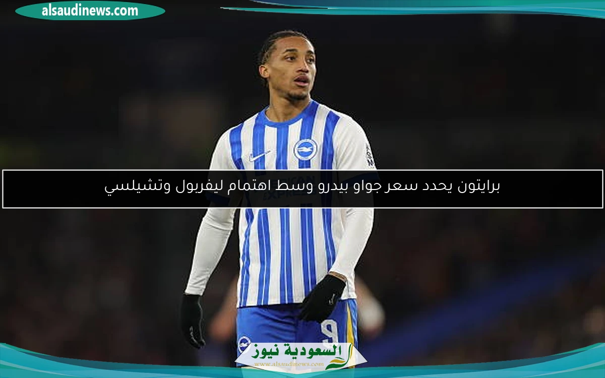 برايتون يحدد سعر جواو بيدرو وسط اهتمام ليفربول وتشيلسي