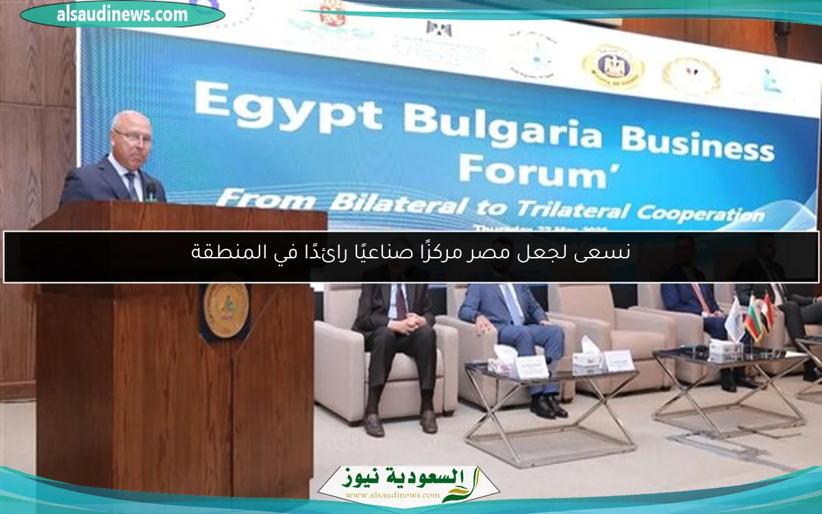 نسعى لجعل مصر مركزًا صناعيًا رائدًا في المنطقة
