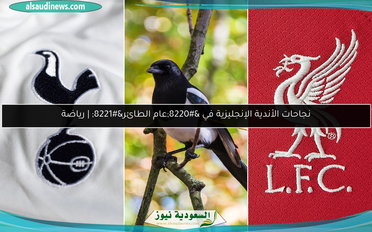 نجاحات الأندية الإنجليزية في “عام الطائر” | رياضة