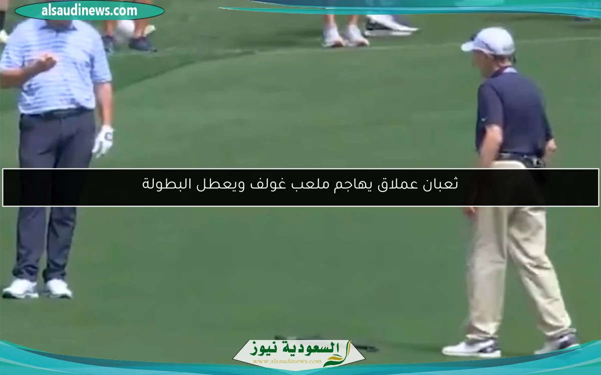 ثعبان عملاق يهاجم ملعب غولف ويعطل البطولة