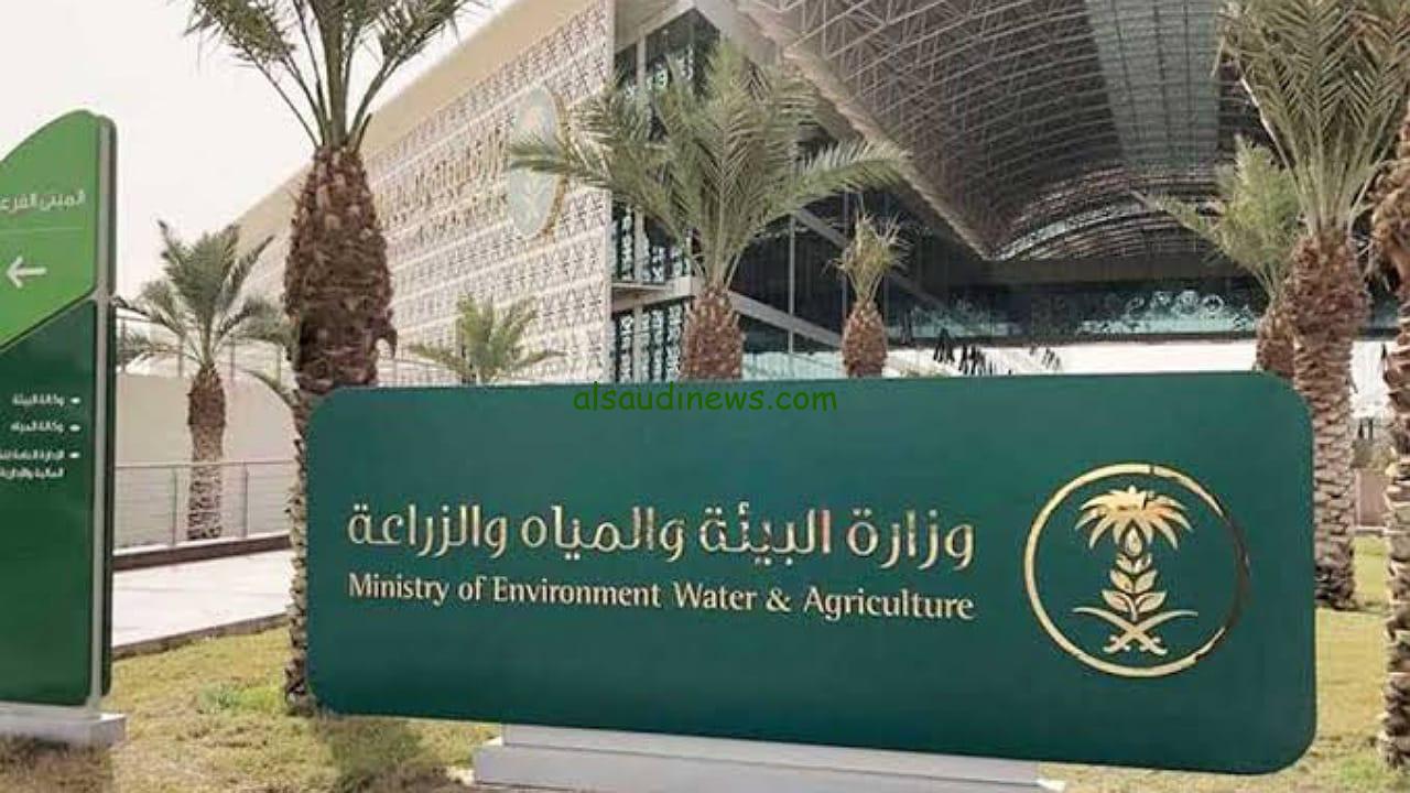 مكة تسجل أعلى هطول أمطار في المملكة بـ 56.8 ملم خلال 24 ساعة