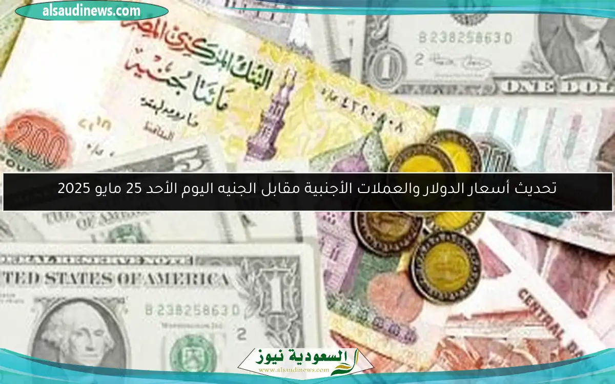تحديث أسعار الدولار والعملات الأجنبية مقابل الجنيه اليوم الأحد 25 مايو 2025
