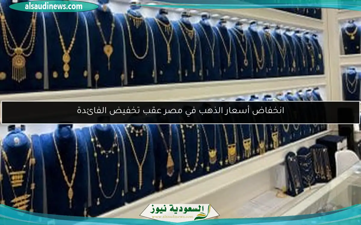انخفاض أسعار الذهب في مصر عقب تخفيض الفائدة