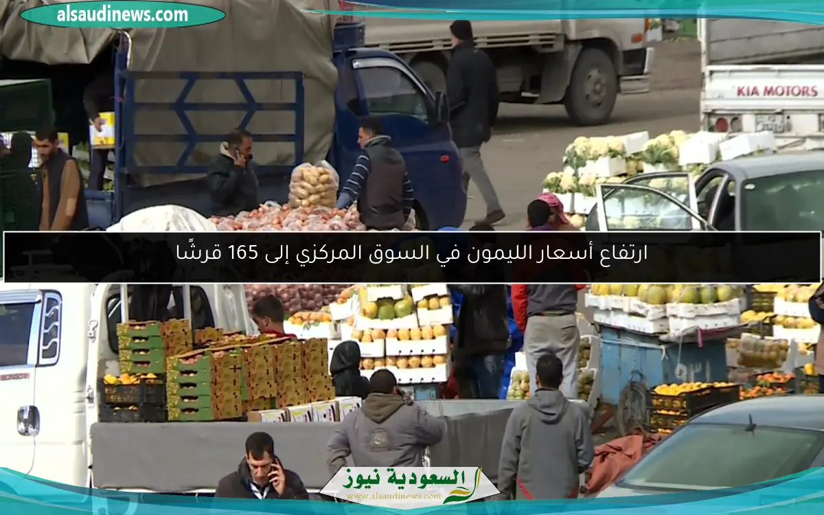ارتفاع أسعار الليمون في السوق المركزي إلى 165 قرشًا