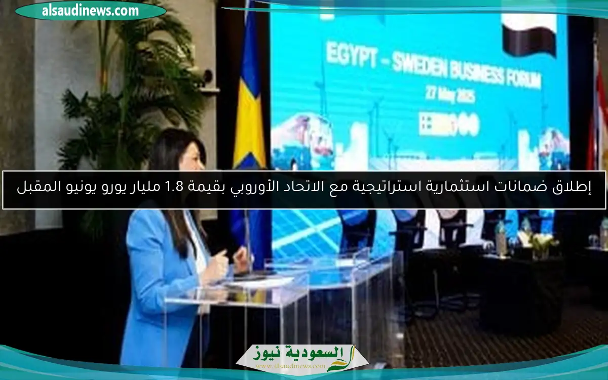إطلاق ضمانات استثمارية استراتيجية مع الاتحاد الأوروبي بقيمة 1.8 مليار يورو يونيو المقبل