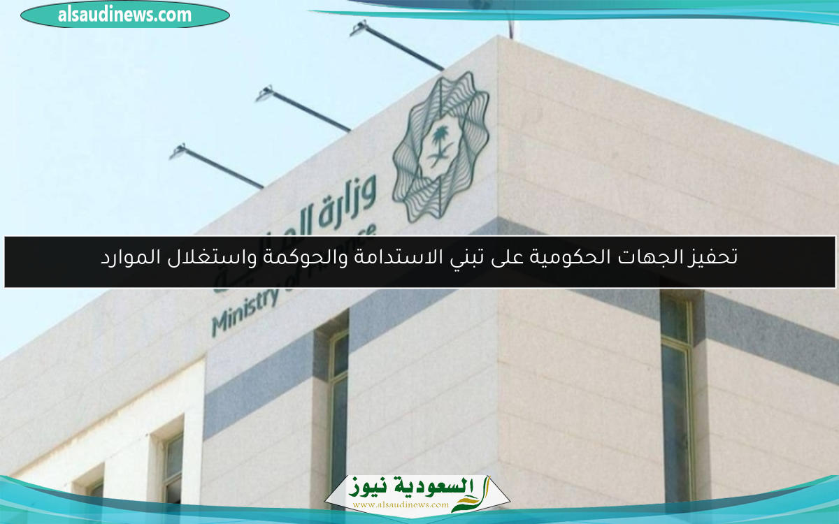 تحفيز الجهات الحكومية على تبني الاستدامة والحوكمة واستغلال الموارد