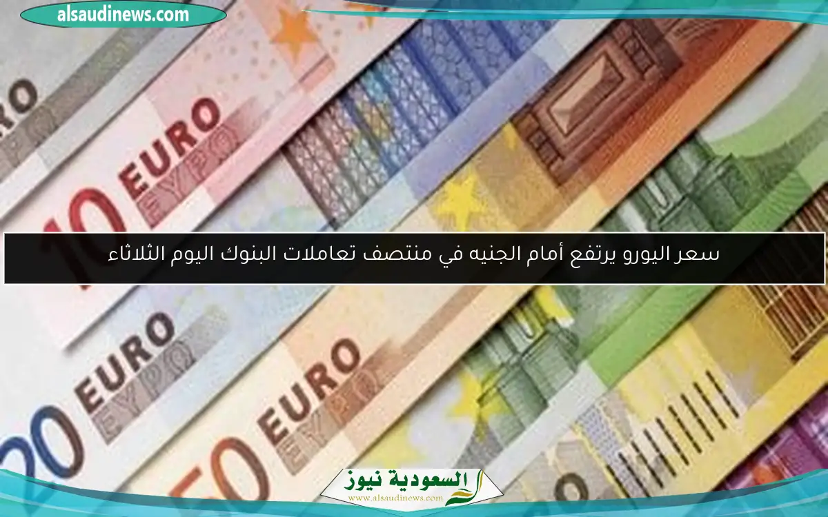 سعر اليورو يرتفع أمام الجنيه في منتصف تعاملات البنوك اليوم الثلاثاء