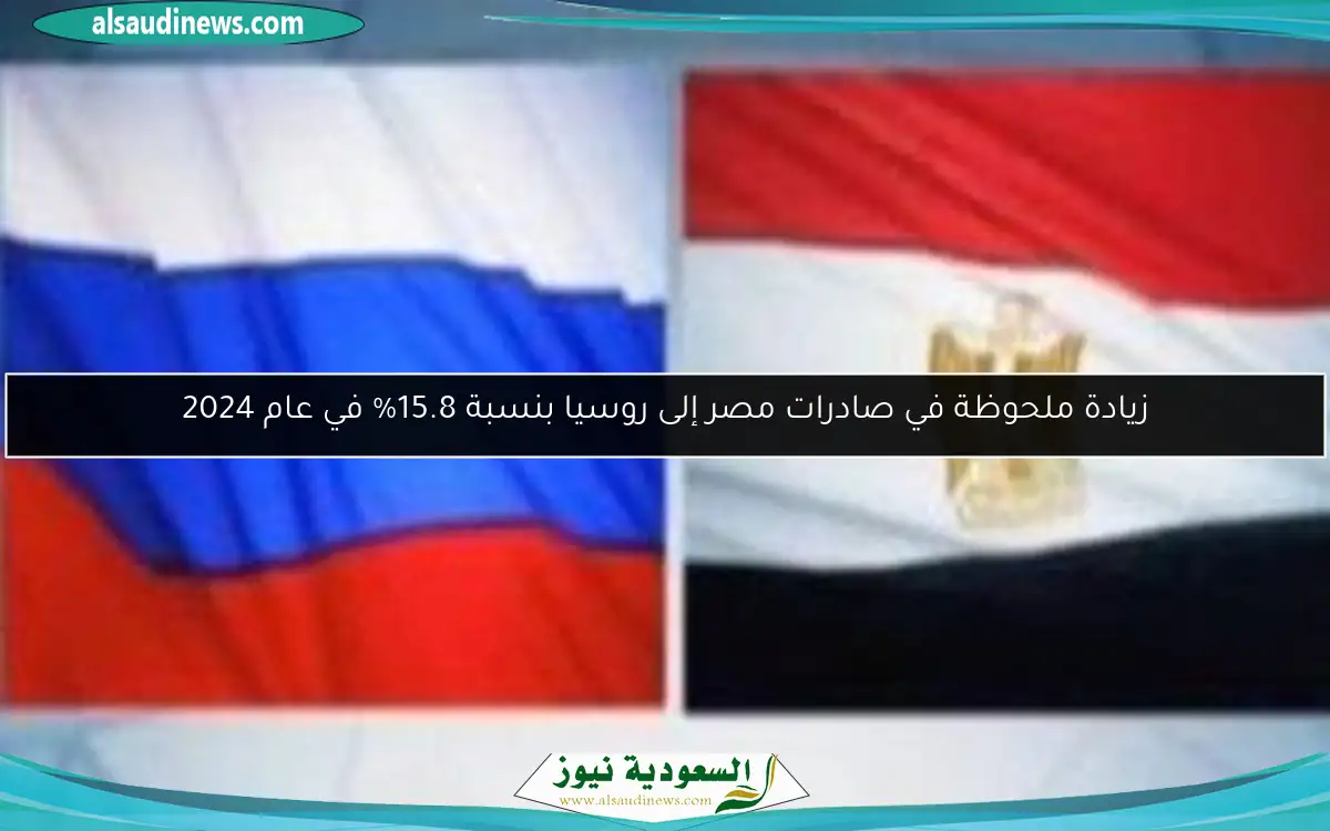 زيادة ملحوظة في صادرات مصر إلى روسيا بنسبة 15.8% في عام 2024