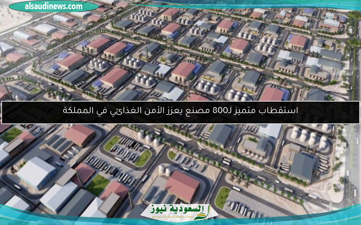 استقطاب متميز لـ800 مصنع يعزز الأمن الغذائي في المملكة