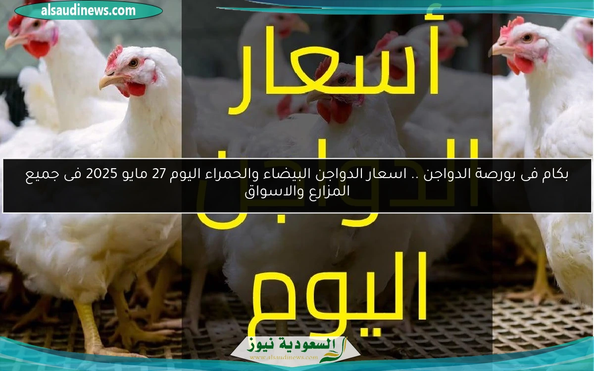 بكام فى بورصة الدواجن .. اسعار الدواجن البيضاء والحمراء اليوم 27 مايو 2025 فى جميع المزارع والاسواق