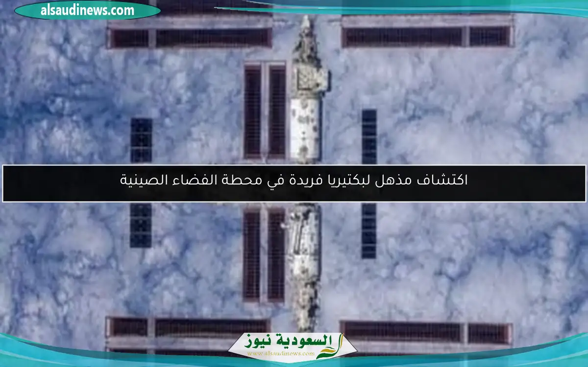 اكتشاف مذهل لبكتيريا فريدة في محطة الفضاء الصينية