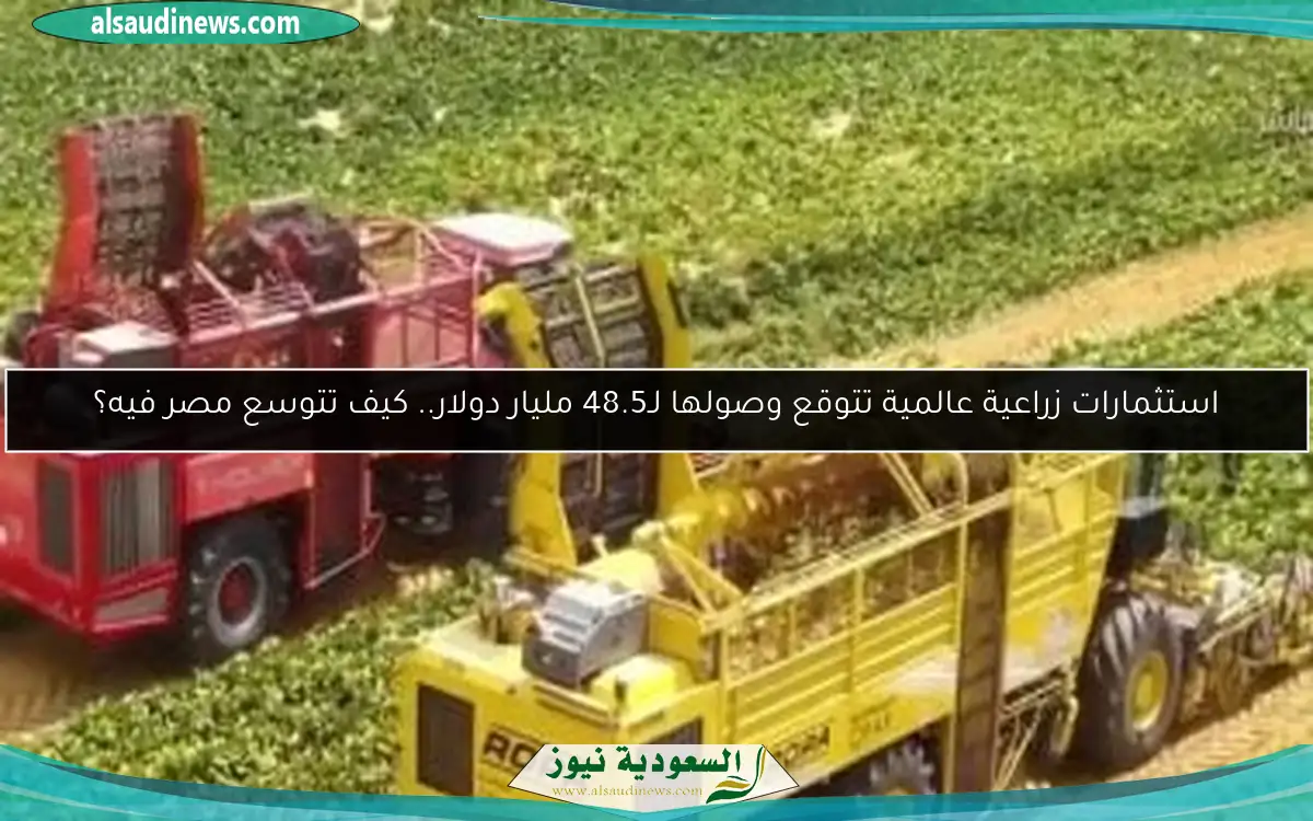 استثمارات زراعية عالمية تتوقع وصولها لـ48.5 مليار دولار.. كيف تتوسع مصر فيه؟