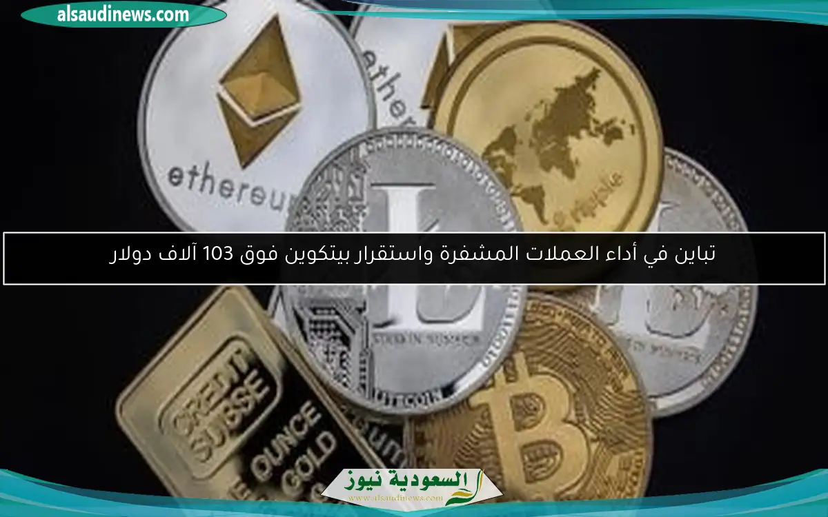 تباين في أداء العملات المشفرة واستقرار بيتكوين فوق 103 آلاف دولار