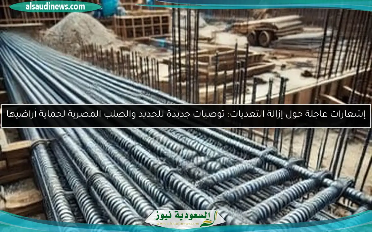 إشعارات عاجلة حول إزالة التعديات: توصيات جديدة للحديد والصلب المصرية لحماية أراضيها
