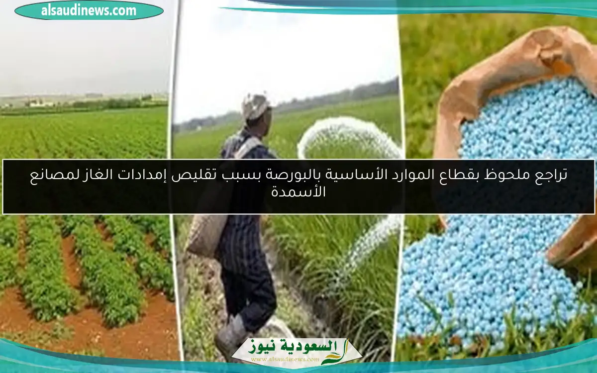 تراجع ملحوظ بقطاع الموارد الأساسية بالبورصة بسبب تقليص إمدادات الغاز لمصانع الأسمدة