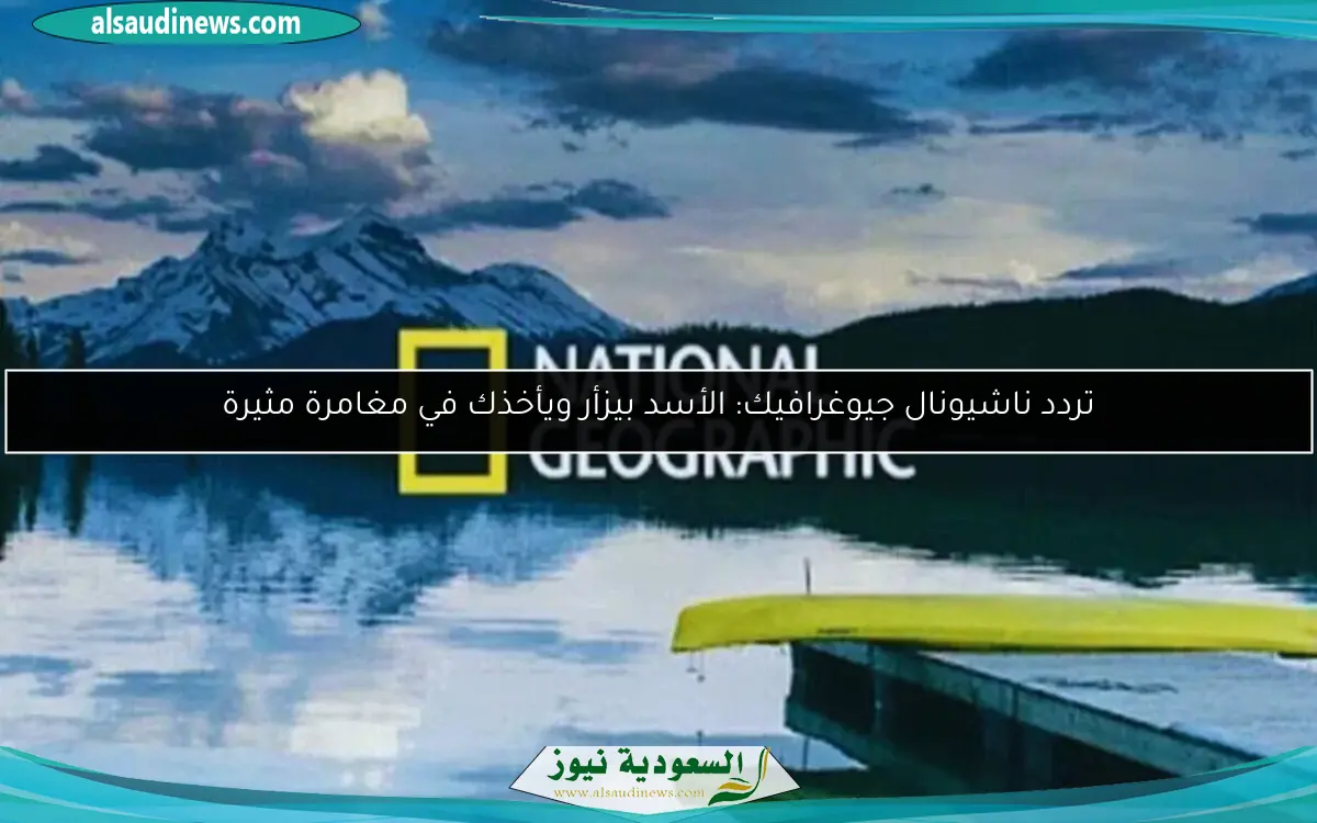 تردد ناشيونال جيوغرافيك: الأسد بيزأر ويأخذك في مغامرة مثيرة