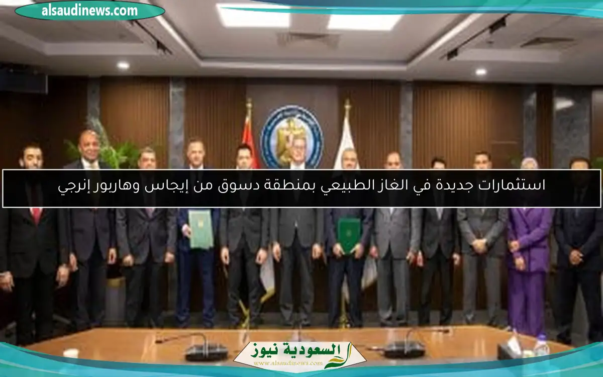 استثمارات جديدة في الغاز الطبيعي بمنطقة دسوق من إيجاس وهاربور إنرجي