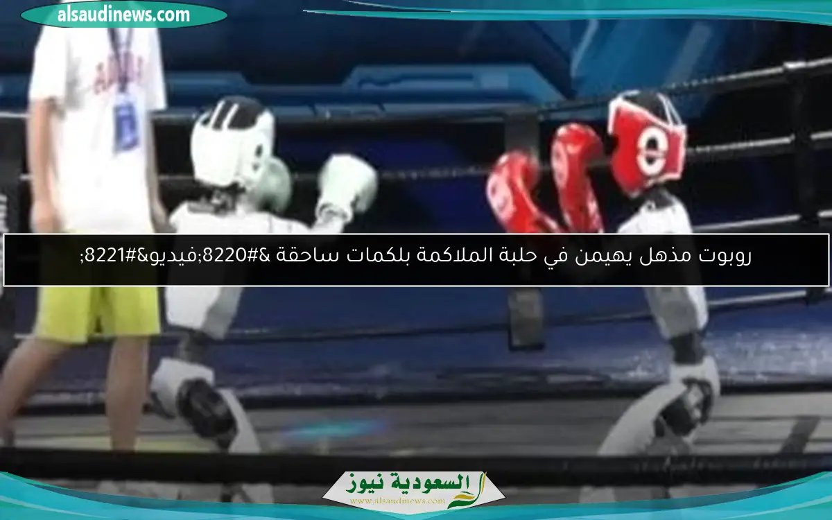روبوت مذهل يهيمن في حلبة الملاكمة بلكمات ساحقة “فيديو”