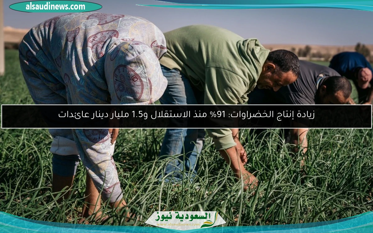 زيادة إنتاج الخضراوات: 91% منذ الاستقلال و1.5 مليار دينار عائدات