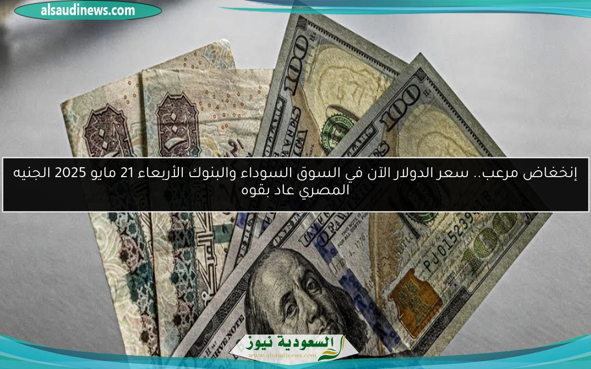 إنخغاض مرعب.. سعر الدولار الآن في السوق السوداء والبنوك الأربعاء 21 مايو 2025 الجنيه المصري عاد بقوه