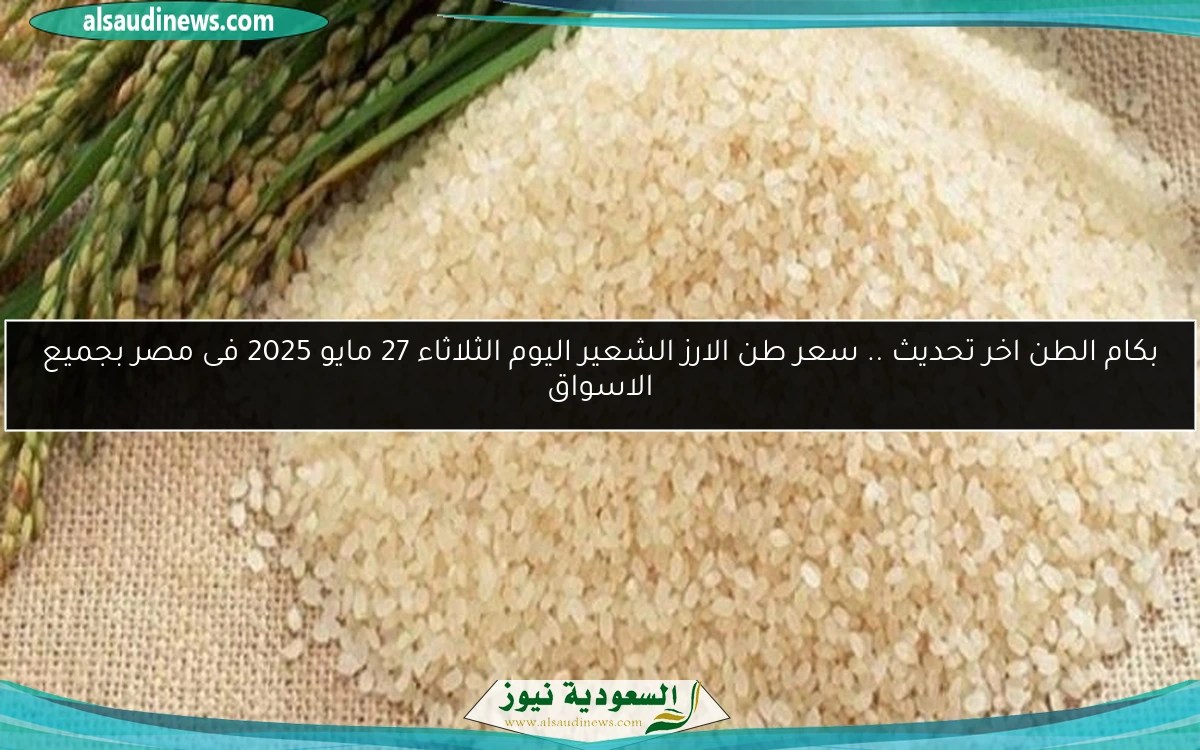 بكام الطن اخر تحديث .. سعر طن الارز الشعير اليوم الثلاثاء 27 مايو 2025 فى مصر بجميع الاسواق