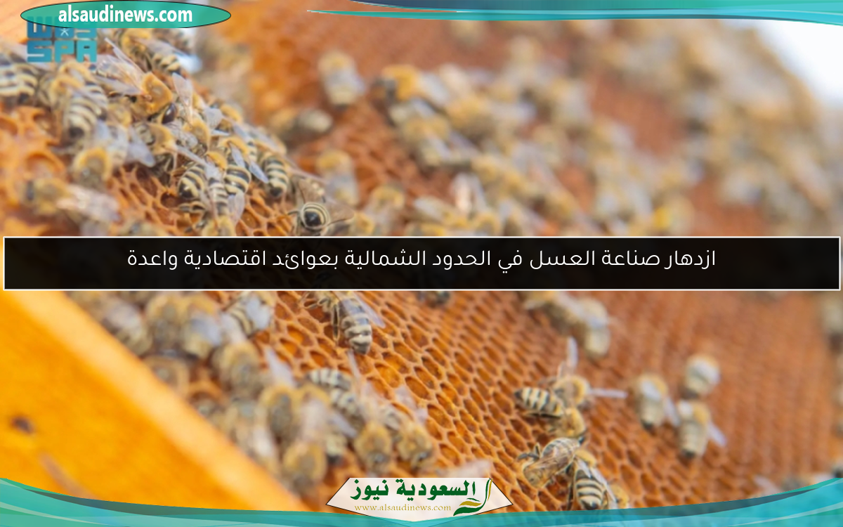 ازدهار صناعة العسل في الحدود الشمالية بعوائد اقتصادية واعدة