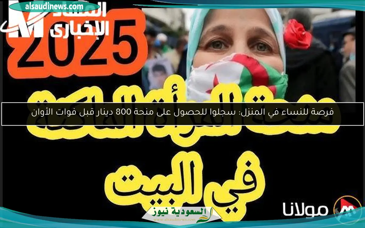 فرصة للنساء في المنزل: سجلوا للحصول على منحة 800 دينار قبل فوات الأوان