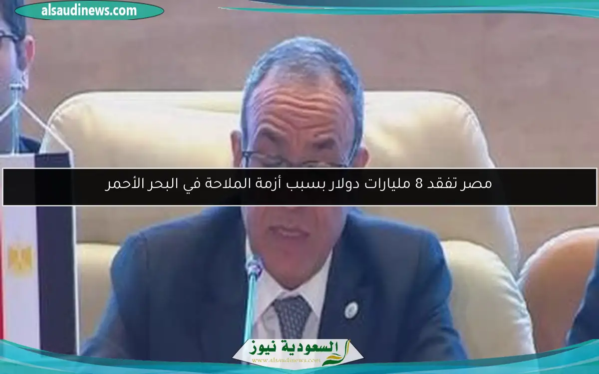 مصر تفقد 8 مليارات دولار بسبب أزمة الملاحة في البحر الأحمر