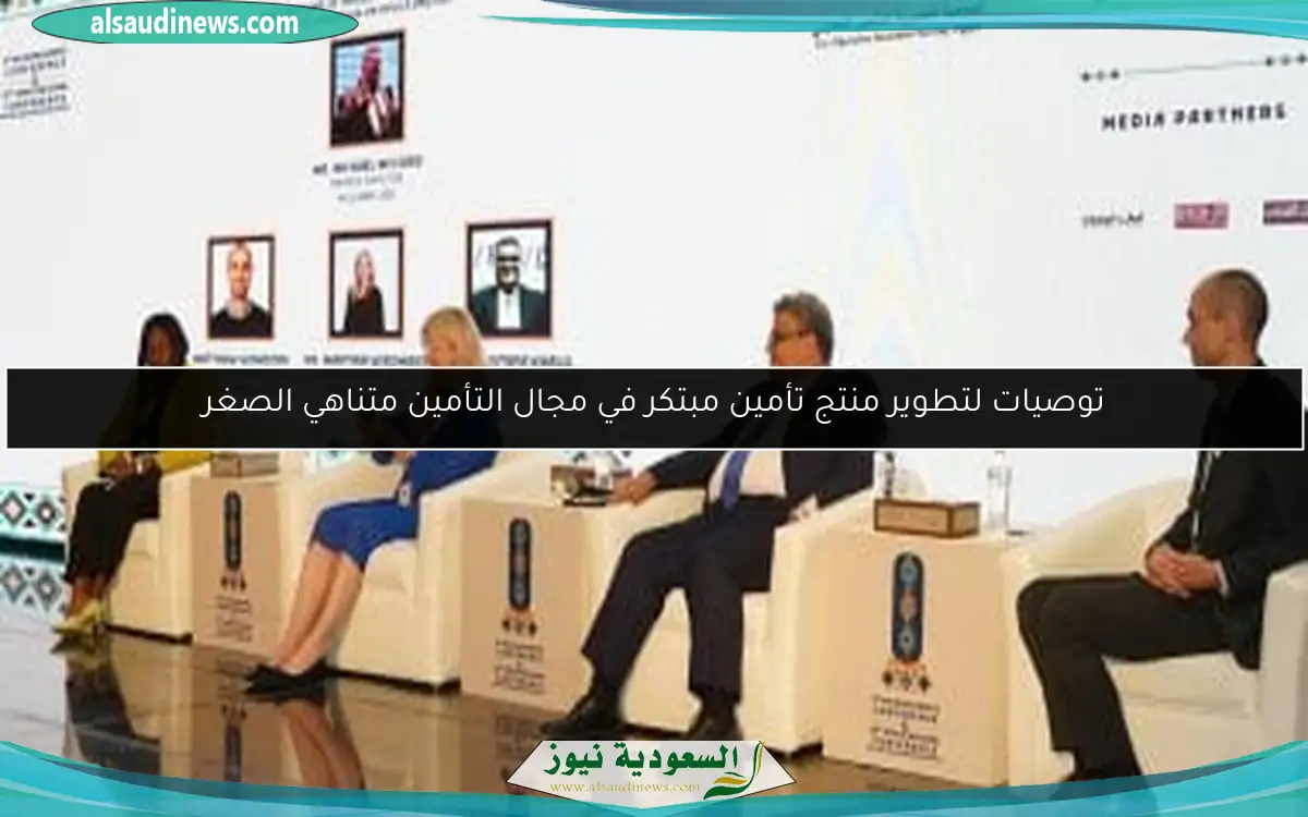 توصيات لتطوير منتج تأمين مبتكر في مجال التأمين متناهي الصغر